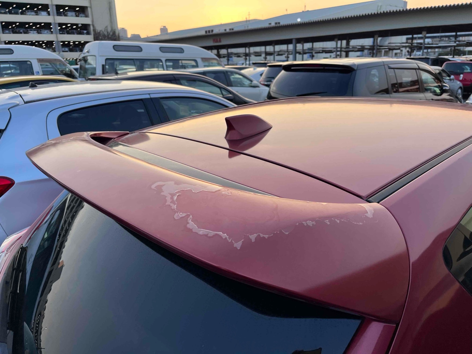 MAZDA AXELA SPORT 20S-SKYACTIV SPORT EDITION Thumbnail 14