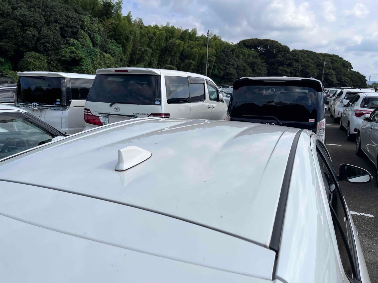 TOYOTA AQUA S STYLE BLACK Thumbnail 19