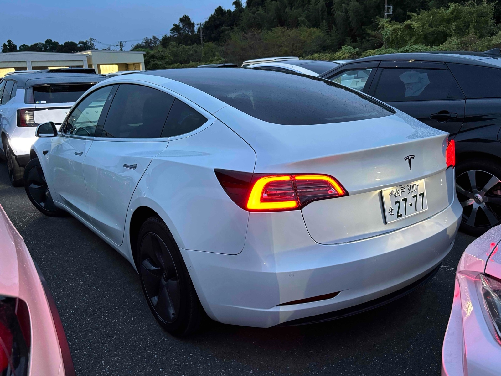 TESLA MODEL 3 STANDARD RANGE PLUS Thumbnail 2