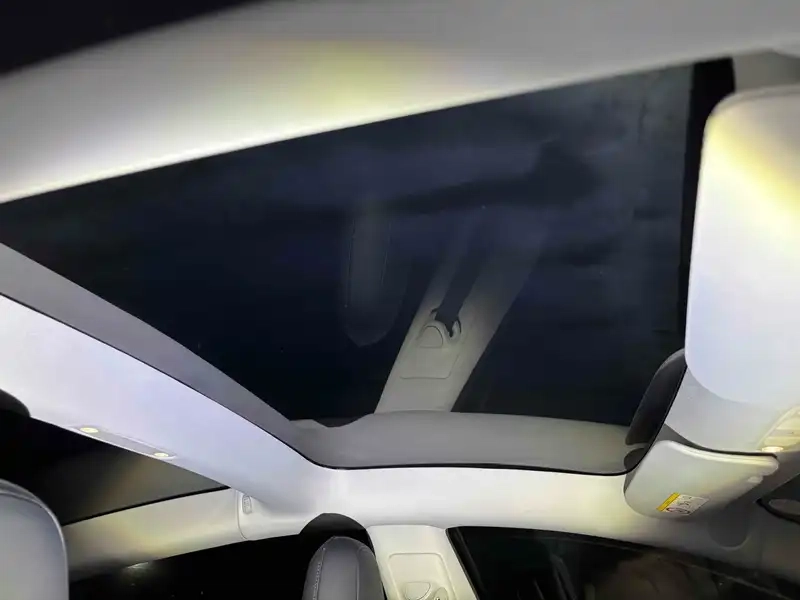 TESLA MODEL 3 4WD LONG RANGE Thumbnail 6