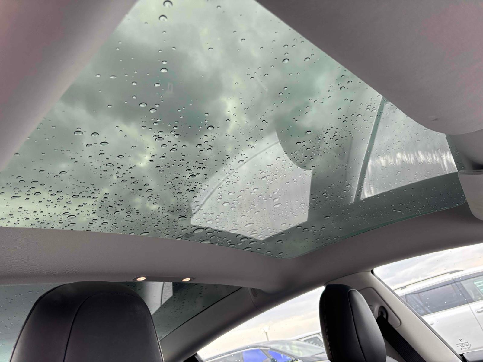 TESLA MODEL 3 STANDARD RANGE PLUS Image 5
