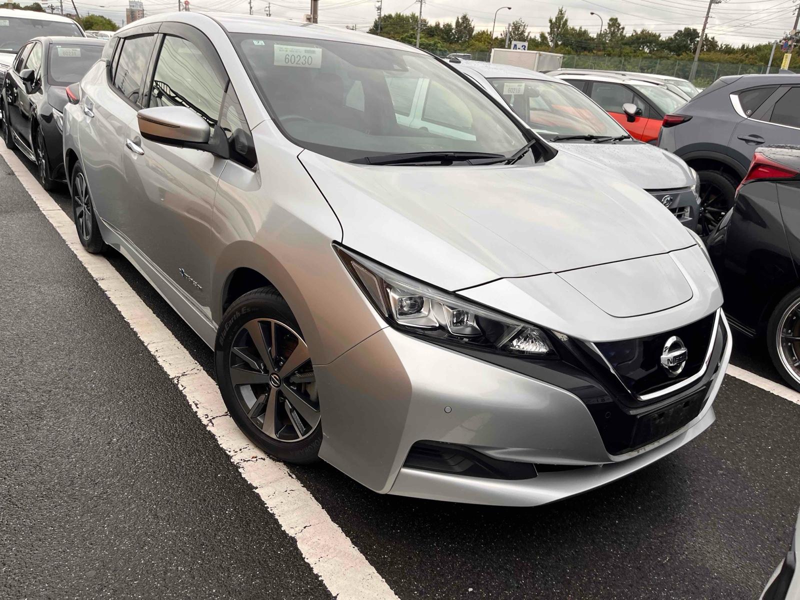 2020 Nissan LEAF 13,000 km