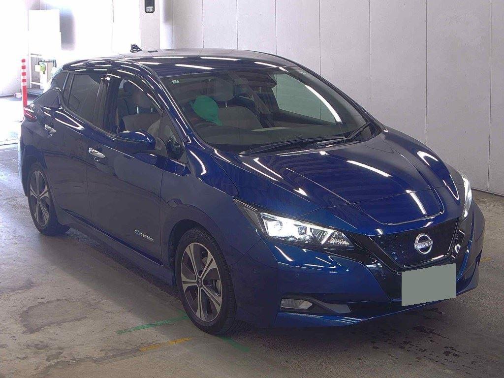 2021 Nissan LEAF 16,000 km