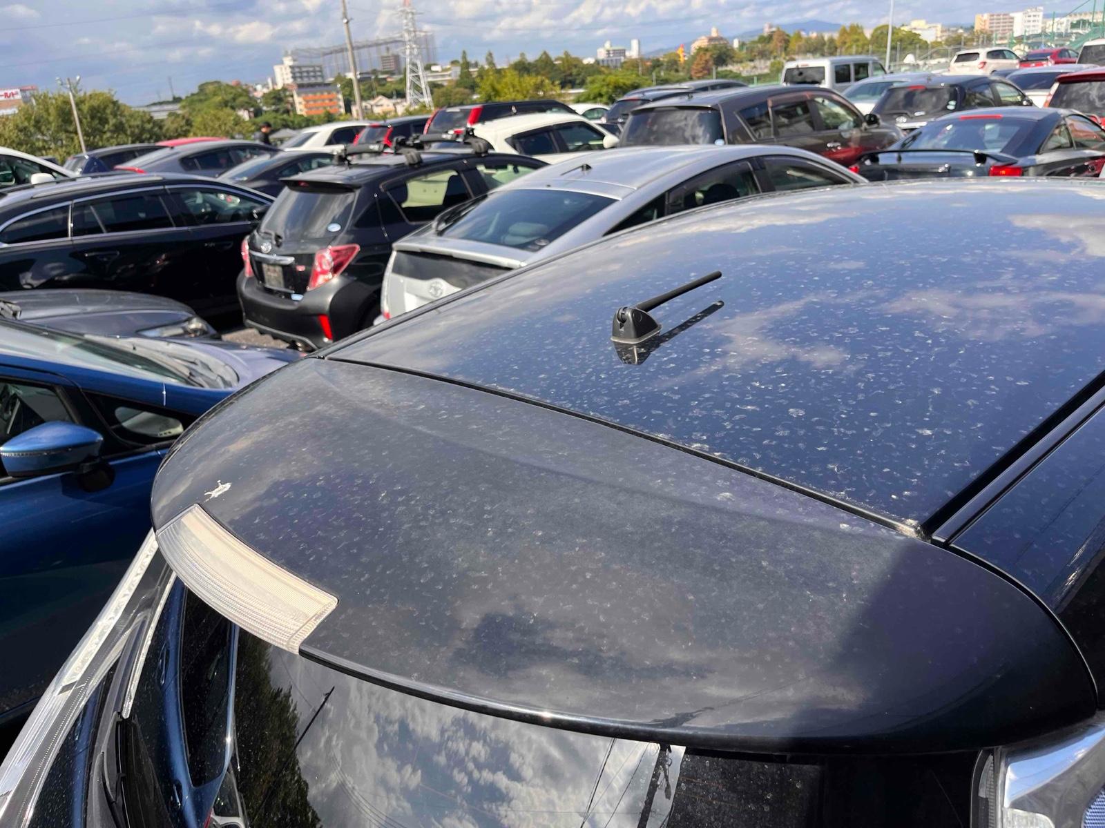NISSAN LEAF X(24KWH) Image 28