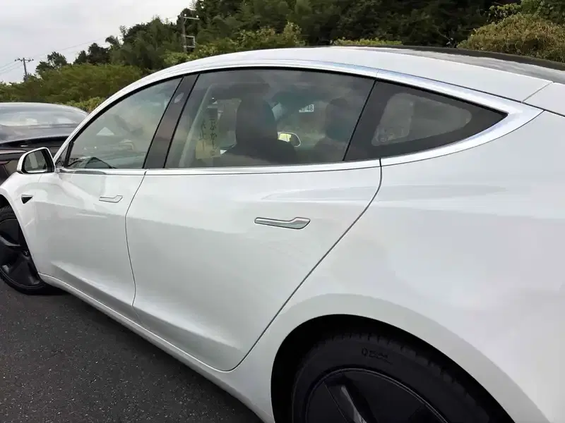 TESLA MODEL 3 STD RANGE PLUS Image 13