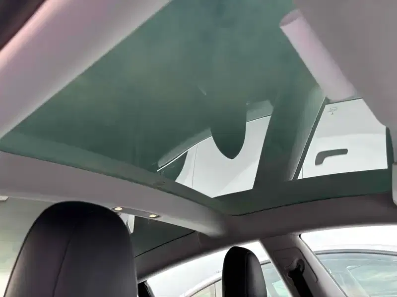 TESLA MODEL 3 STD RANGE PLUS Image 5