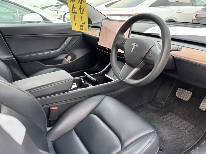 TESLA MODEL 3 STD RANGE PLUS Image 3