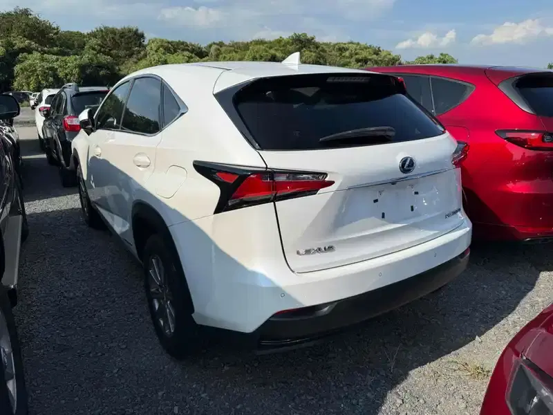 LEXUS NX NX300H I PACKAGE Image 2