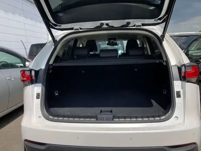 LEXUS NX NX300H I PACKAGE Image 10