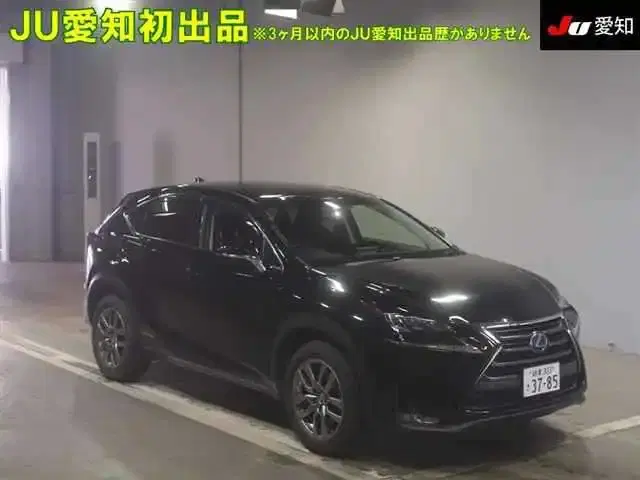 LEXUS NX NX300H VERSION L 4WD Image 3