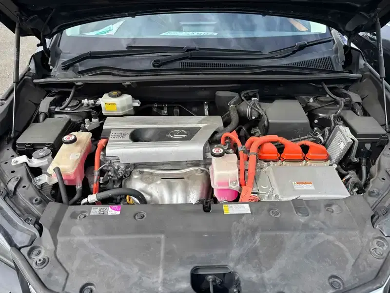 LEXUS NX NX300H VERSION L 4WD Image 19