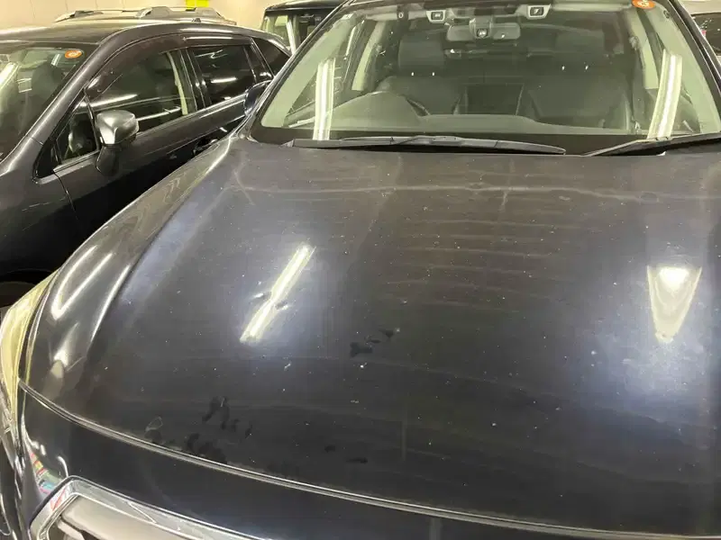 SUBARU OUTBACK 4WD LIMITED Image 18