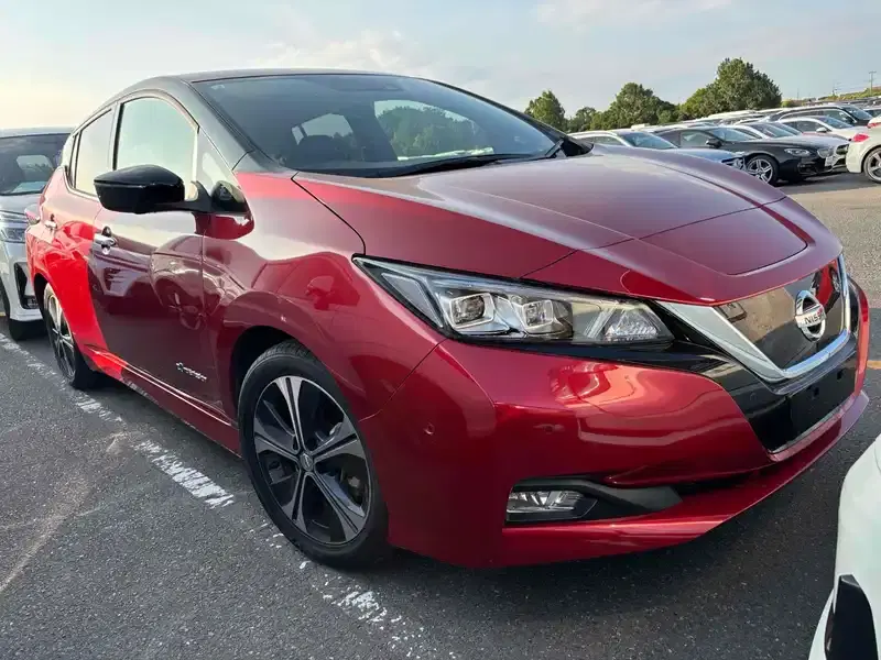 NISSAN LEAF G Image 1