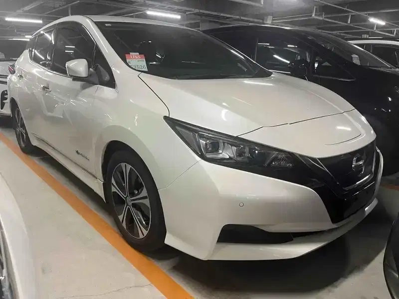 NISSAN LEAF X 10 THOUSAND UNITS MEMORIAL C Image 9